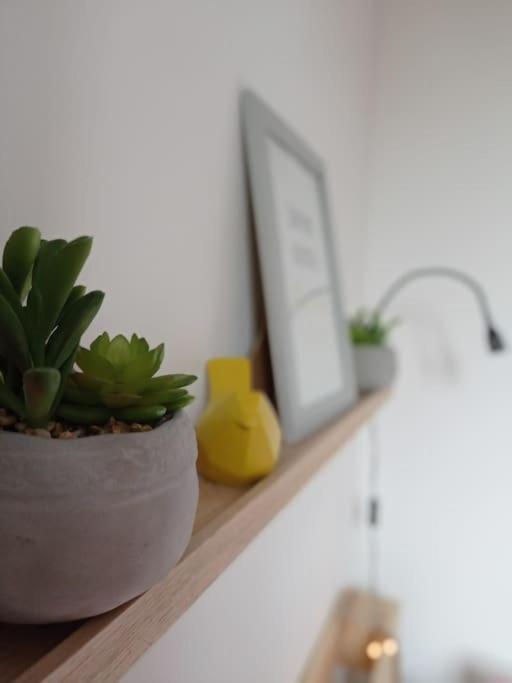 Little Bahia Apartment Saint-Malo Ngoại thất bức ảnh